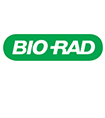 美国伯乐Bio-rad小型垂直电泳槽1658002