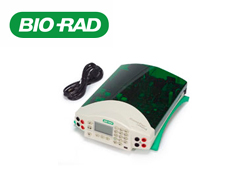 乐Bio-rad电泳系统电源、电泳槽1645056